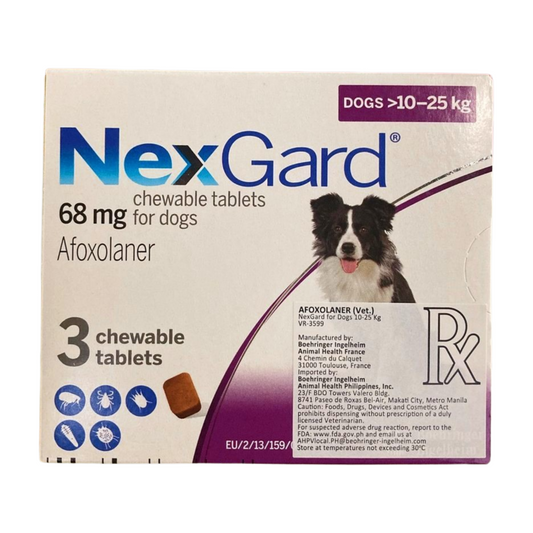 Nexgard Large 10 to 25kg (1 chewable)