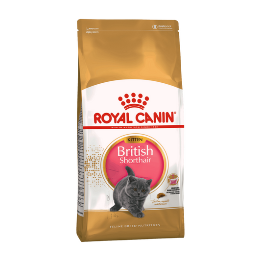 Royal Canin FBN Dry Cat Food British Shorthair Kitten 2kg