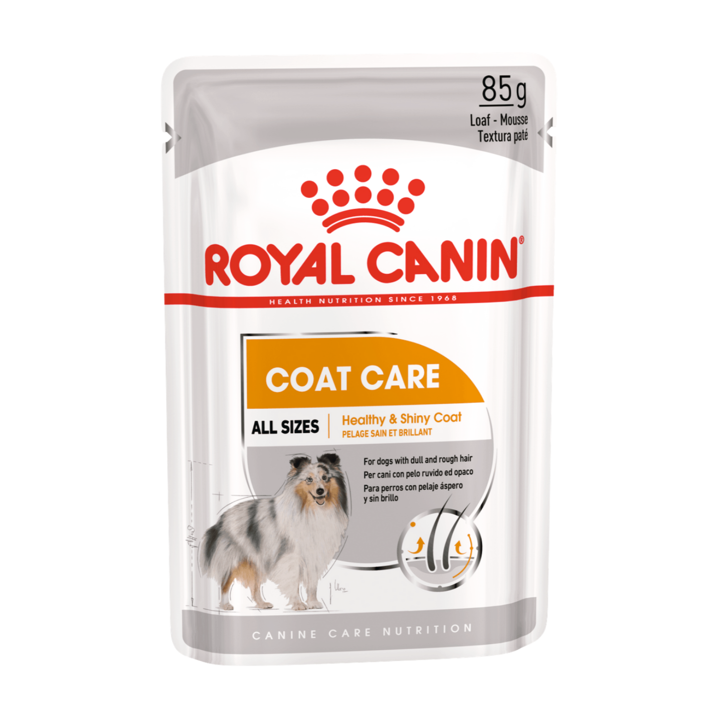 Royal Canin CCN Wet Dog Food Coat Care Loaf 85g