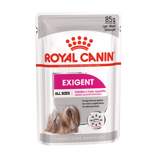 Royal Canin CCN Wet Dog Food Exigent Loaf 85g