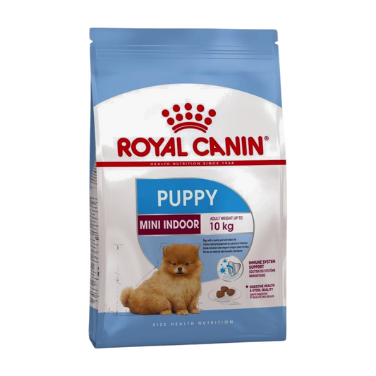 Royal Canin SHN Dry Dog Food Mini Indoor Puppy 1.5kg