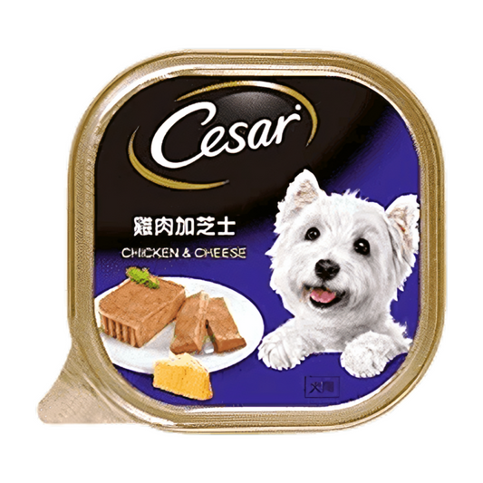 Cesar Wet Dog Food Chicken & Cheese 100g
